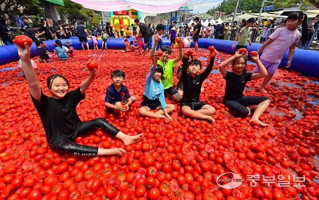22일 오후 광주시 퇴촌면 광동로 일원에서 열린 '제23회 퇴촌토마토 거리축제'에서 '황금 토마토를 찾아라' 이벤트에 참가한 어린이들이 토마토 풀장에서 즐거운 시간을 보내고 있다. 임채운기자