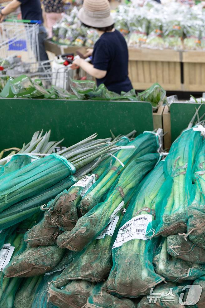 여름 제철 농산물 가격이 줄줄이 오름세를 보이는 가운데 22일 서울 시내의 한 대형 마트에 대파가 진열돼 있다. 2025.6.22/뉴스1 ⓒ News1 이승배 기자