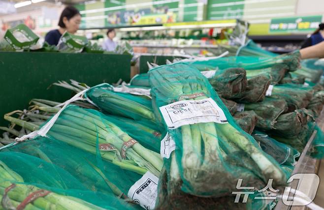 여름 제철 농산물 가격이 줄줄이 오름세를 보이는 가운데 22일 서울 시내의 한 대형 마트에 대파가 진열돼 있다. 2025.6.22/뉴스1 ⓒ News1 이승배 기자