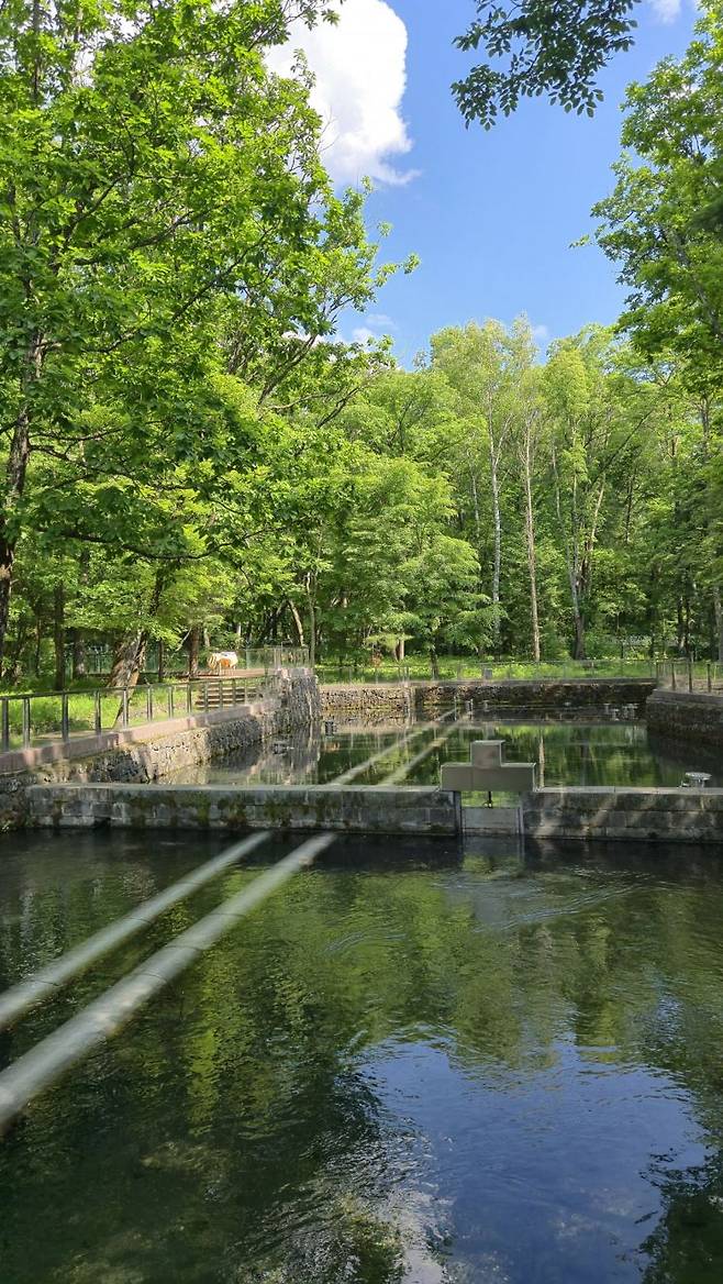 농심 백산수의 수원지인 백두산 '내두천' 전경.[사진=구은모 기자]