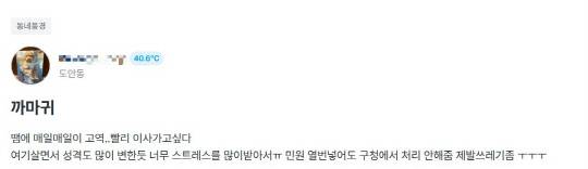 대전 서구 도안동 한 지역 커뮤니티에 올라온 게시글. 해당 글 작성자는 '민원을 열 번 넘게 넣었지만 구청에서 처리해주지 않는다'고 토로했다. 온라인 커뮤니티 갈무리
