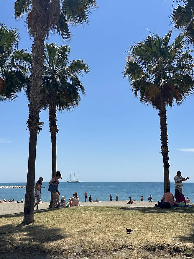 IMG_9923.jpeg 스압) 외노자의 말라가 세비야 방문기