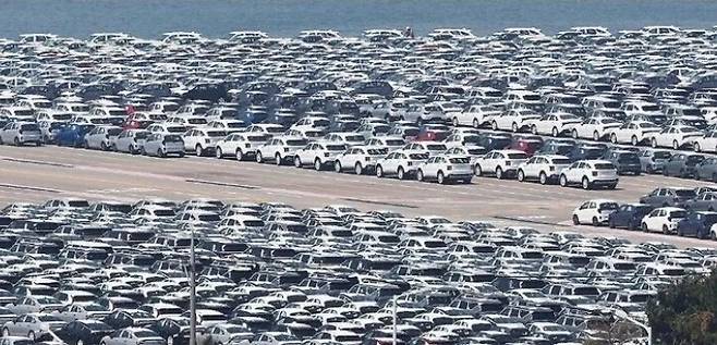 경기도 평택항에 수출용 자동차가 집결해 있다. 연합뉴스