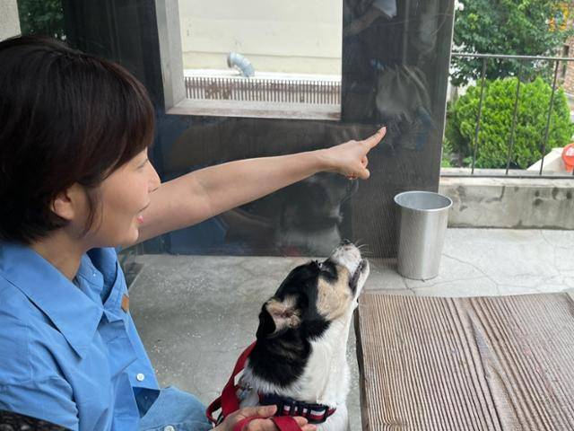 정이현 작가가 손가락으로 뭔가를 가리키자 반려견 루돌이가 쳐다보고 있다. 정이현 작가 제공