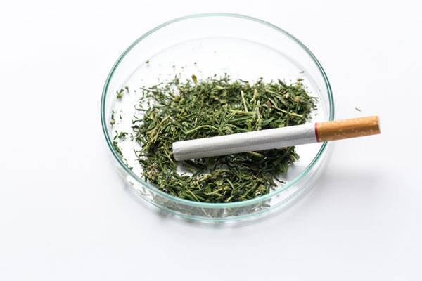 사진=게티이미지뱅크