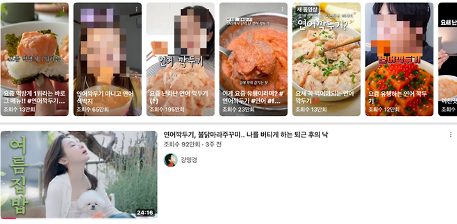 유튜브에 올라온 연어깍두기 관련 콘텐츠. [사진 = 유튜브 화면 캡처]