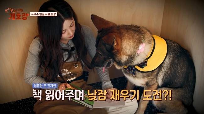 사진=JTBC ‘집 나가면 개호강’
