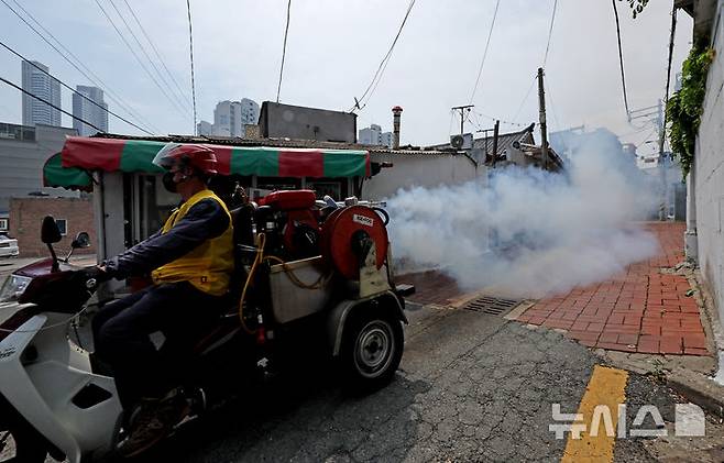 [대구=뉴시스] 이무열 기자 = 19일 대구 중구 남산1동 일대에서 중구보건소 관계자가 여름철 모기 매개 감염병 대비 방역 작업을 하고 있다.2025.06.19. lmy@newsis.com