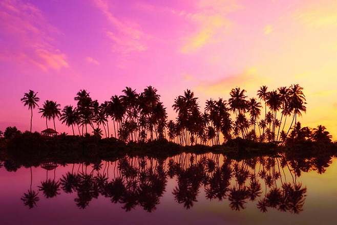 하와이. 게티이미지뱅크