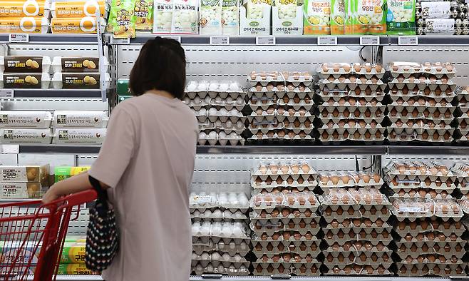 서울 시내의 한 대형마트에 진열된 계란. 연합뉴스