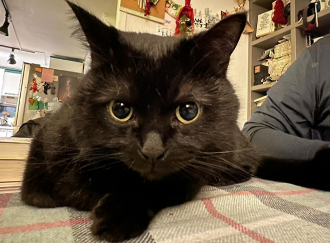 용식이는 15년간 키웠던 반려견 ‘미돌이’를 떠나보낸 슬픔을 치유해주었다. ⓒ남형도 제공