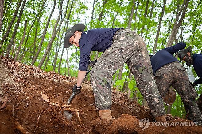 국군 전사자 유해 발굴 작전 벌이는 장병 [육군 11사단 제공=연합뉴스 자료사진. 재판매 및 DB 금지] yangdoo@yna.co.kr