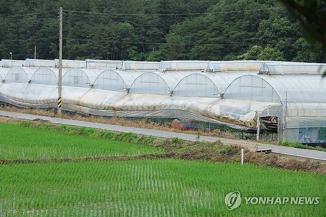 수해피해 입은 정뱅이마을, 곳곳에 남은 상처 (대전=연합뉴스) 강수환 기자 = 20일 오전 지난해 7월 집중 호우로 갑천 제방이 무너지며 침수 피해를 입은 대전 서구 용촌동 정뱅이마을에 있는 일부 비닐하우스가 여전히 복구되지 않은 상태로 비를 맞고 있다. 2025.6.20. swan@yna.co.kr