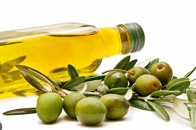 올리브 오일