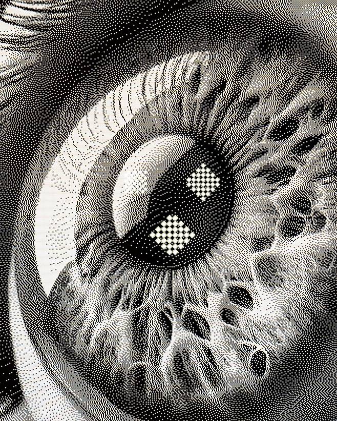 윤태준作 ‘Gaze’