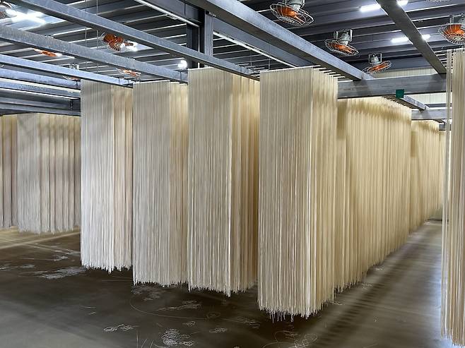 건조 중인 해풍국수. /단정민기자