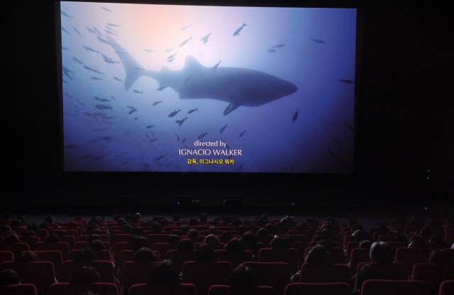 제8회 국제해양영화제 개막작인 '소피아의 상어 이야기'가 지난 19일 오후 부산 해운대구 영화의전당 중극장에서 상영되고 있다. 정종회 기자 jjh@