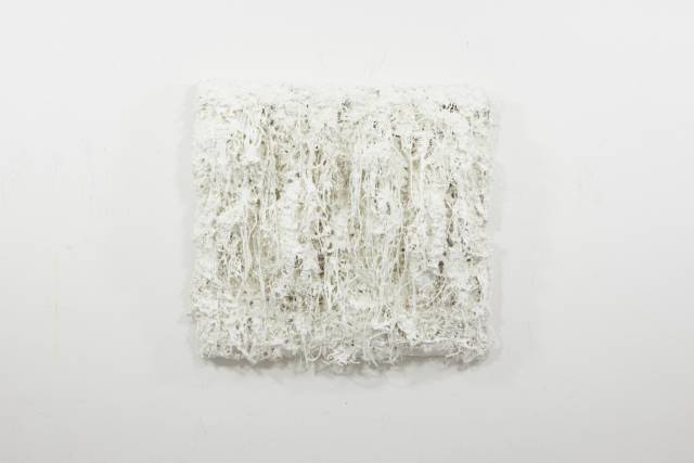 유명균, The History of Forest W2102, 2021. 리앤배 제공