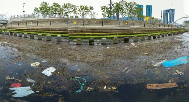 <부산일보> 취재진이 최근 찾은 부산 북항친수공원 경관수로에 각종 쓰레기와 부유물이 해조류와 뒤엉켜 있다. 김종진 기자 kjj1761@