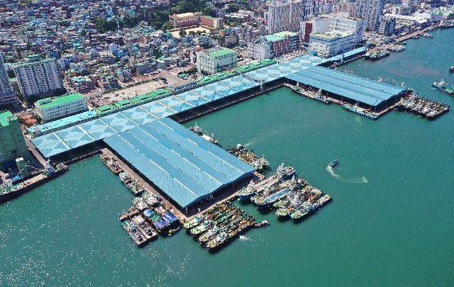 부산 서구 남부민동 부산공동어시장. 정종회 기자 jjh@