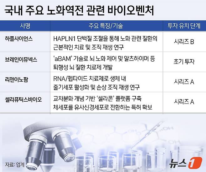 ⓒ News1 윤주희 디자이너