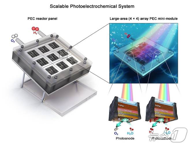 고효율 무배선 인공나뭇잎 기반 태양광 수소 생산 시스템. (UNIST 제공. 재판매 및 DB 금지) /뉴스1