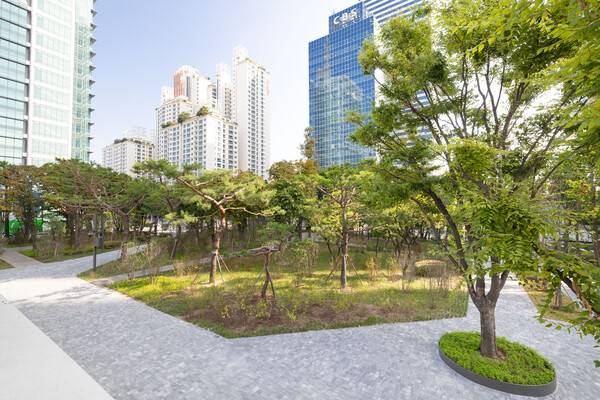 대한항공이 1차 그린 스카이패스(GREEN SKYPASS)로 도심 숲 조성에 참여한 서울 양천구 오목공원 전경 ⓒ대한항공