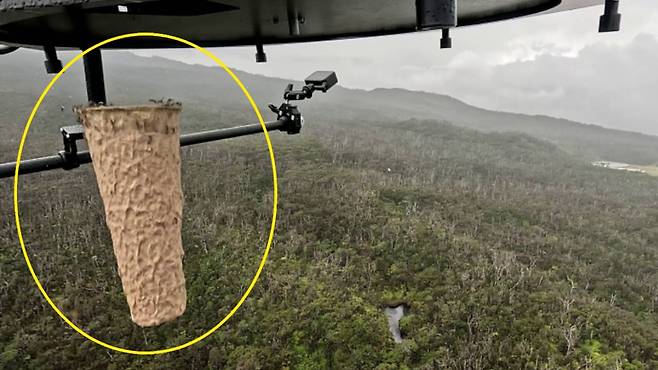 실험실에서 키운 모기로 가득 찬 캡슐이 마우이의 드론에서 떨어지는 모습 / 복스닷컴 보도화면 캡처