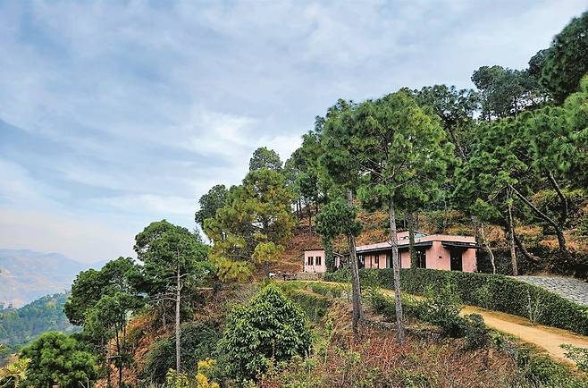 레스토랑 '나르' 전경. /김성윤 기자