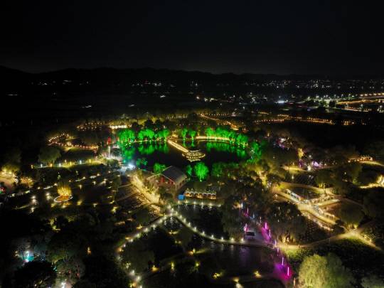 지난해 부여서동연꽃축제 야경. 부여군 제공