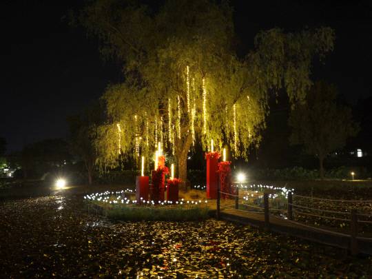 지난해 부여서동연꽃축제 야경. 부여군 제공