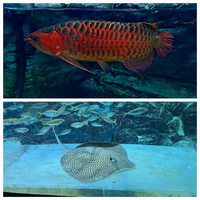 3fb8c32fffd711ab6fb8d38a4783746fa3f5d03cab419639d21b1cbc4a090b94eada201229d60b69458fe044