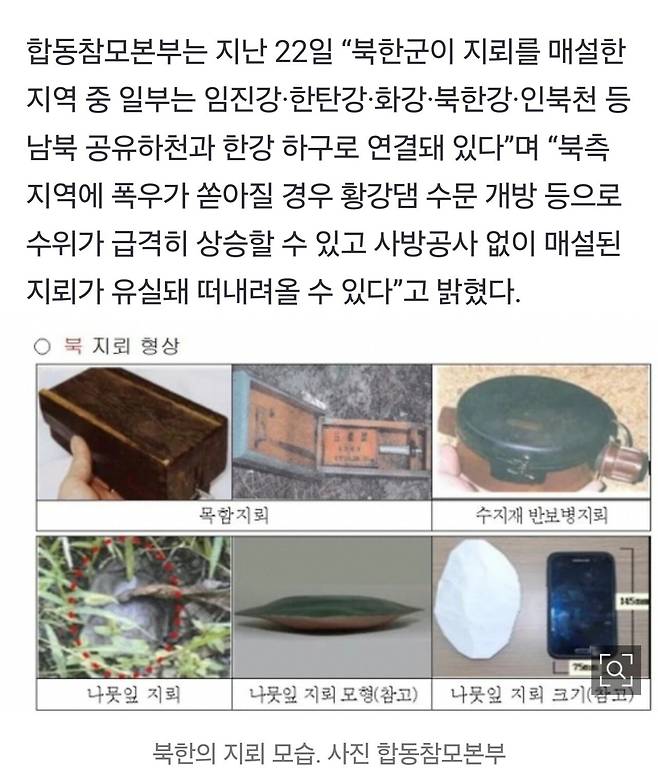 경고)나뭇잎 닮은 지뢰 조심해라.news