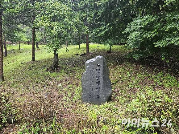 미동산수목원 도민 명예의 숲. [사진=장예린 기자]