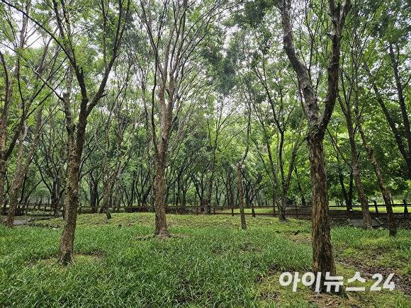 미동산수목원. [사진=장예린 기자]