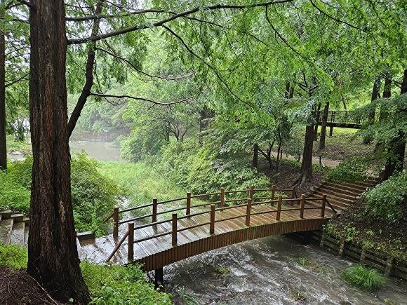 미동산수목원. [사진=장예린 기자]