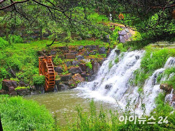 미동산수목원. [사진=장예린 기자]