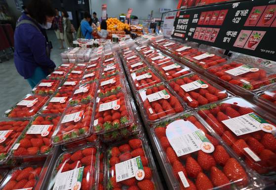 서울의 한 대형마트에 진열된 딸기. 연합뉴스