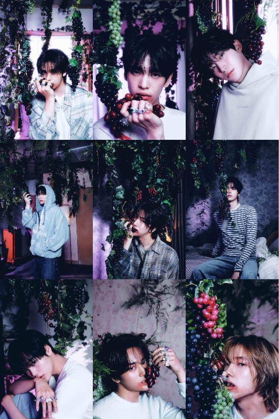 스타쉽엔터테인먼트