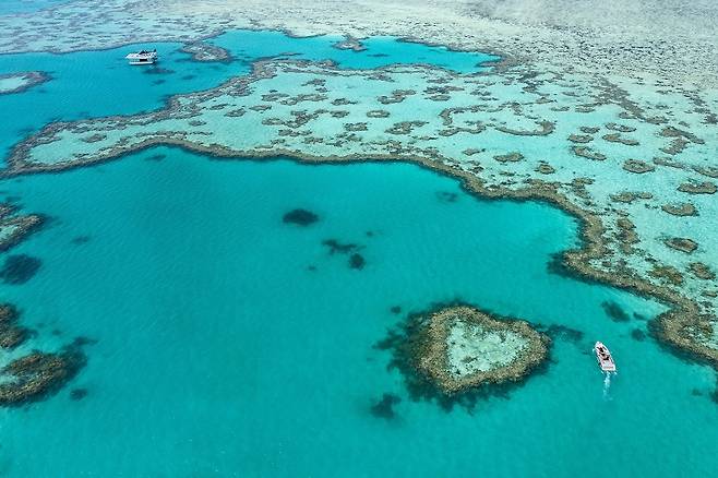 그레이트 배리어리프