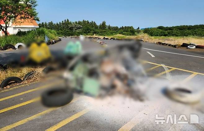 [제주=뉴시스] 지난달 29일 오후 제주 서귀포시 성산읍 소재 카트장에서 카트 화재가 발생해 소방당국이 진화에 나서고 있다. 이 사고로 10대 탑승자가 화상을 입었다. (사진=제주소방안전본부 제공) 2025.05.29. photo@newsis.com