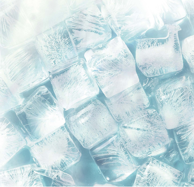 기사 특정내용과 무관. 게티이미지