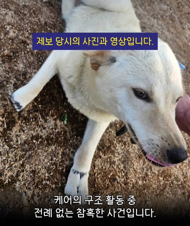 케어 SNS 갈무리