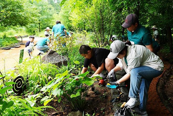 국립수목원·신세계푸드, 맛있는 정원 조성 (포천=연합뉴스) 산림청 국립수목원과 신세계푸드가 협업한 '맛있는 정원' 조성 기념행사에서 참석자들이 식재료로 이용되는 채소류를 심고 있다. 2025.6.23 [국립수목원 제공. 재판매 및 DB 금지]