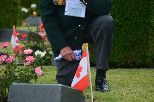 정춘산의 사진 작품. 유엔기념공원에서 촬영한 것들이다. 작가 제공