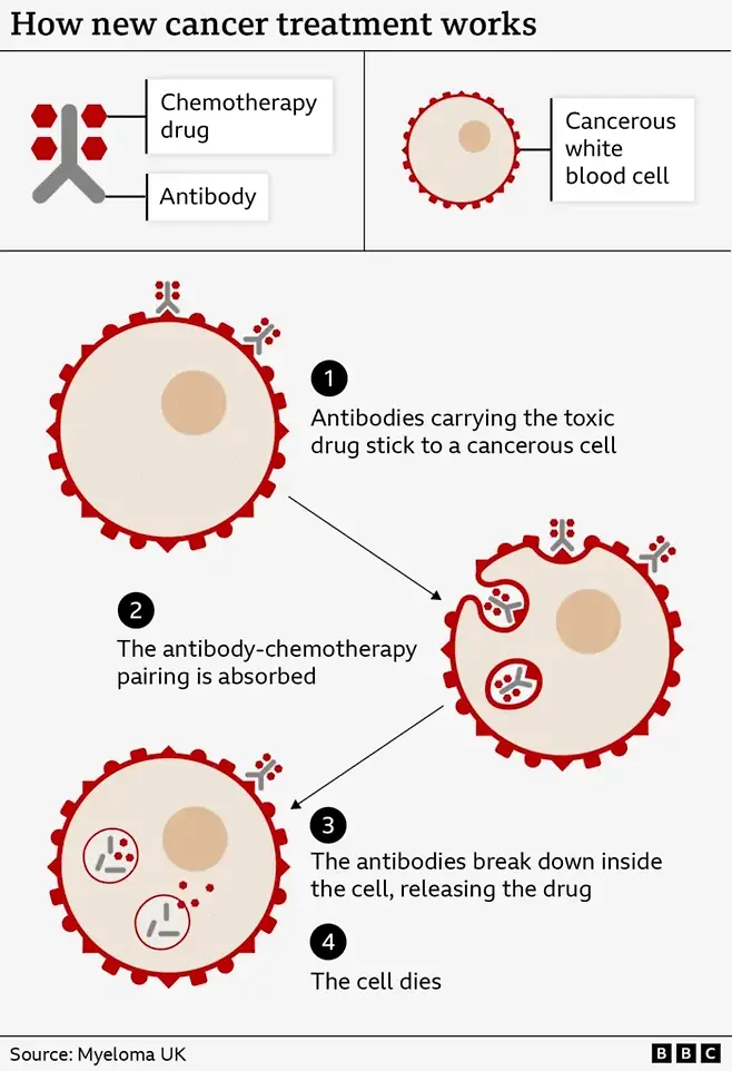 '트로이의 목마'의 다발성골수종 치료 메커니즘. [사진=Myeloma UK]