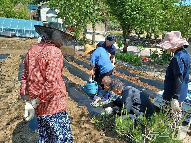 양양군, 귀농·귀촌 체험 대상자 모집.(양양군 제공, 재판매 및 DB 금지) 2025.6.24/뉴스1