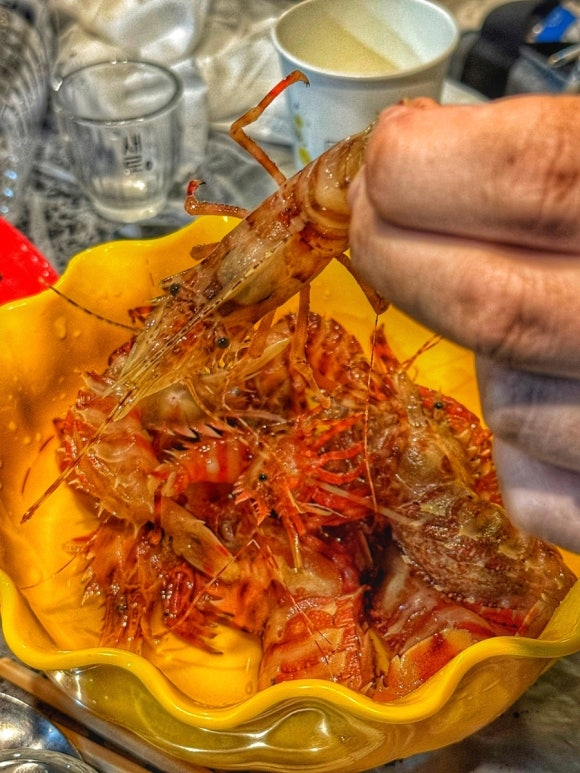 image.png 속초 동명항 근처 포차 맛집