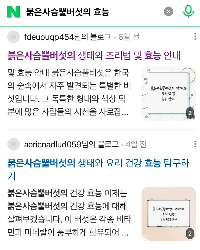 image.png 요즘 네이버 블로그 글을 믿으면 안 되는 이유