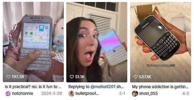 사진=틱톡 #블랙베리 영상 갈무리